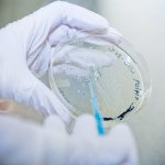 Biotecnologie e ricerca: 3 M€ alle imprese italiane