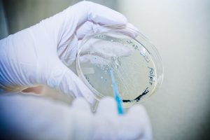 biotecnologie